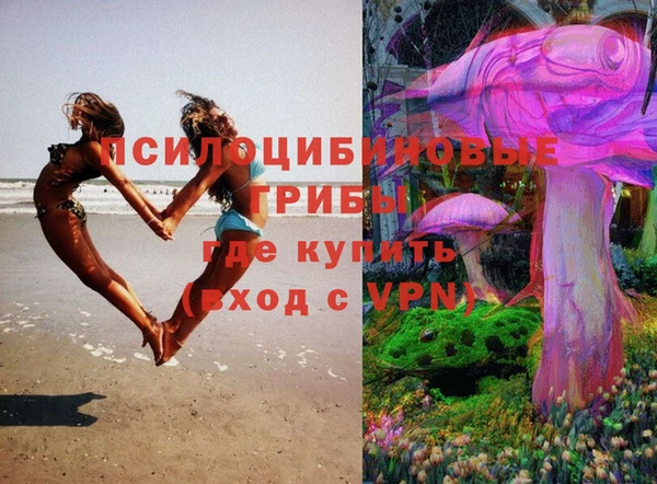 ГАЛЛЮЦИНОГЕННЫЕ ГРИБЫ Абинск