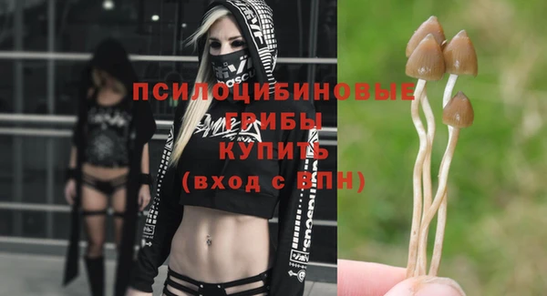 ГАЛЛЮЦИНОГЕННЫЕ ГРИБЫ Абинск