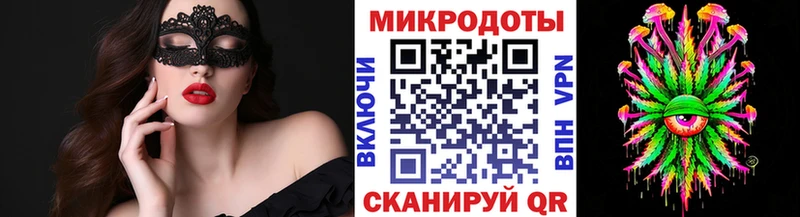 Псилоцибиновые грибы Cubensis  Холм 