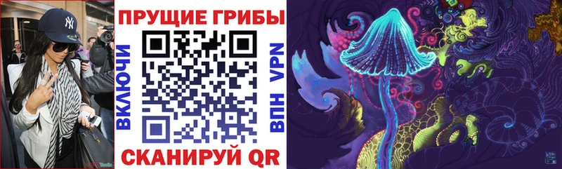 Галлюциногенные грибы ЛСД Холм